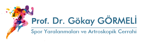 Prof. Dr. Gökay GÖRMELİ